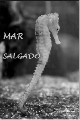 MAR SALGADO