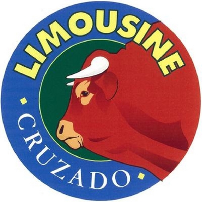 CRUZADO LIMOUSINE