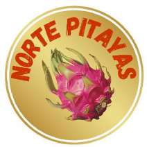 NORTE PITAYAS
