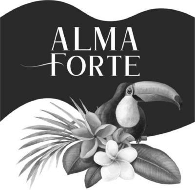 ALMA FORTE