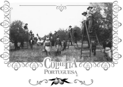 COLHEITA PORTUGUESA