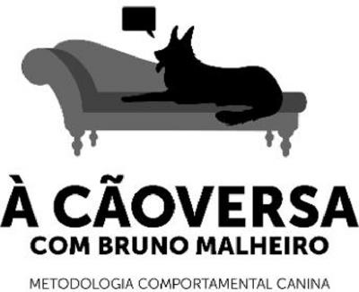 À CÃOVERSA COM BRUNO MALHEIRO METODOLOGIA COMPORTAMENTAL CANINA