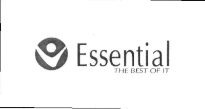 ESSENTIAL THE BEST OF IT