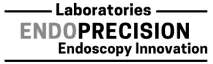 LABORATORIES ENDOPRECISION ENDOSCOPY INNOVATION