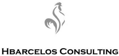 HBARCELOS CONSULTING