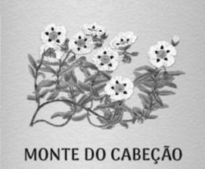 MONTE DO CABEÇÃO