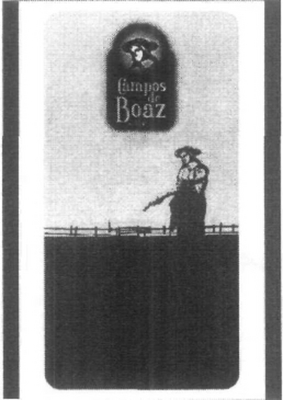 CAMPOS DE BOAZ
