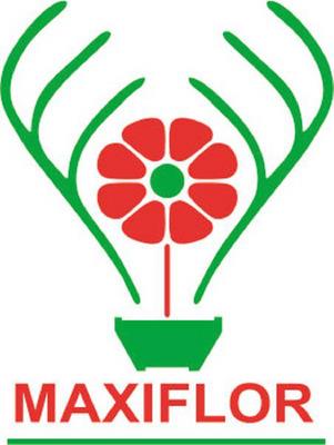 MAXIFLOR