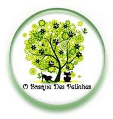 O BOSQUE DAS PATINHAS