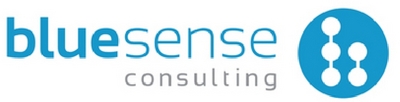 BLUE SENSE CONSULTING