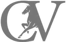 CV