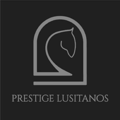 PRESTIGE LUSITANOS