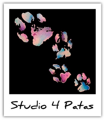 STUDIO 4 PATAS
