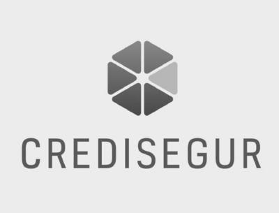 CREDISEGUR