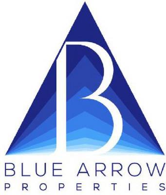 BLUE ARROW PROPERTIES