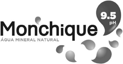MONCHIQUE ÁGUA MINERAL NATURAL PH9.5
