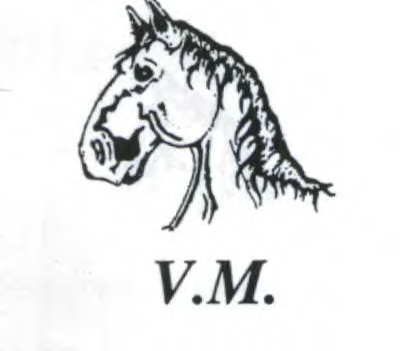 VM.