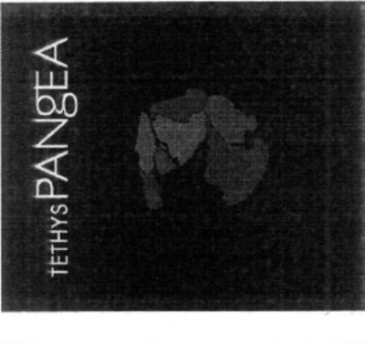 TETHYS PANGEA