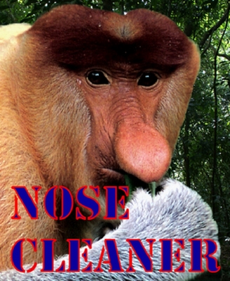 NOSE CLEANER