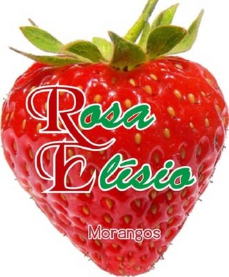 ROSA ELÍSIO MORANGOS