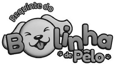 REQUINTE DO BOLINHA DE PÊLO