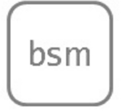 BSM