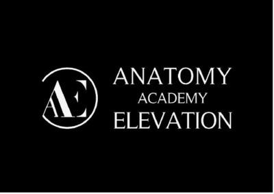 AAE ANATOMY ACADEMY ELEVATION