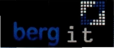 BERG IT