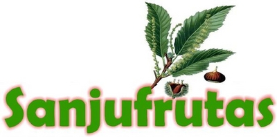 SANJUFRUTAS