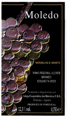 MOLEDO BRANCO REGIONAL AÇORES