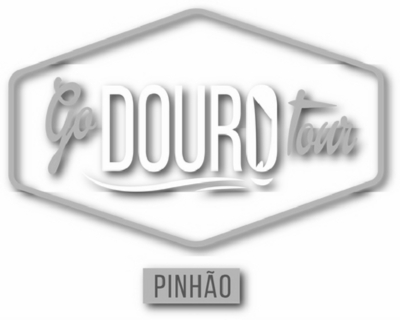 GO DOURO TOUR