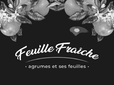 FEUILLE FRAÎCHE - AGRUMES ET SES FEUILLES