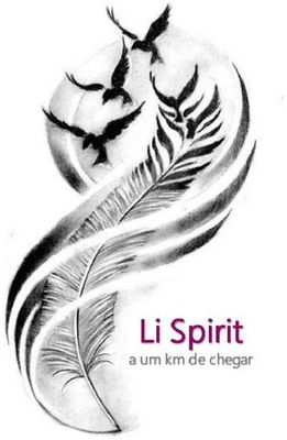 LI SPIRIT A UM KM DE CHEGAR