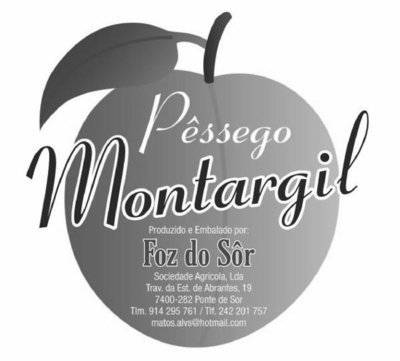PÊSSEGO MONTARGIL