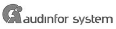 AUDINFOR SYSTEM