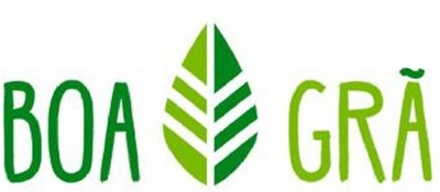 BOA GRÃ