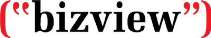 BIZVIEW