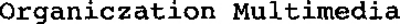 ORGANICZATION MULTIMEDIA