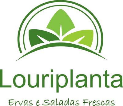 LOURIPLANTA ERVAS E SALADAS FRESCAS