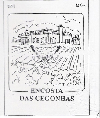 ENCOSTA DAS CEGONHAS