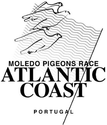MOLEDO PIGEONS RACE ATLANTIC COAST PORTUGAL