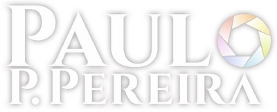 PAULO P. PEREIRA