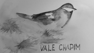 VALE CHAPIM