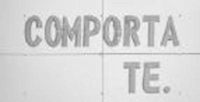 COMPORTA TE