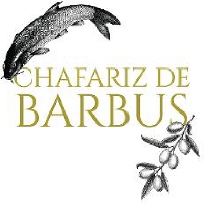 CHAFARIZ DE BARBUS