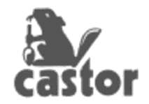 CASTOR