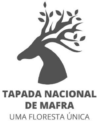 TAPADA NACIONAL DE MAFRA UMA FLORESTA UNICA