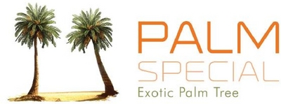PALM SPECIAL EXOTIC PALM TREE