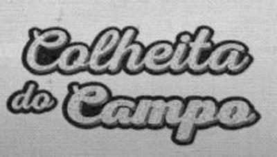 COLHEITA DO CAMPO