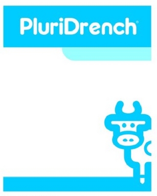 PLURIDRENCH